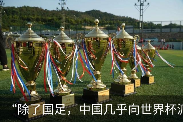 “除了国足，中国几乎向世界杯派去了一切”
